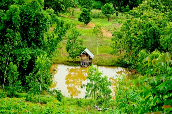 山和森林在泰国 — 图库照片