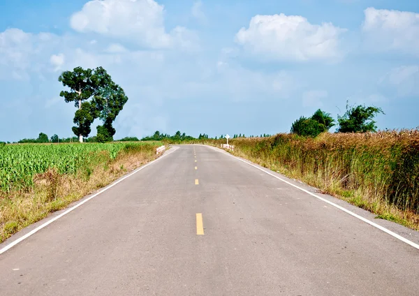 A estrada — Fotografia de Stock