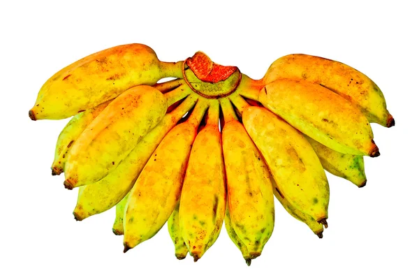 Die Banane isoliert auf weißem Hintergrund anbauen — Stockfoto