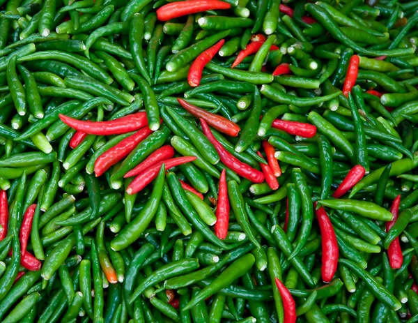 La textura de fondo de chile rojo y verde — Foto de Stock