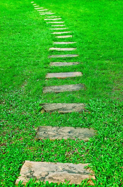El camino a pie bloque de piedra en el parque con fondo de hierba verde —  Fotos de Stock