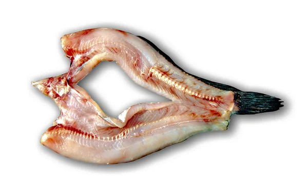 白い背景上に分離されて乾燥ストライプ スネーク ヘッド魚 — ストック写真