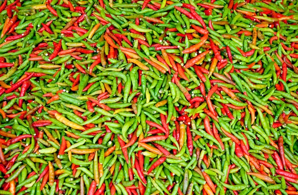 A textura de fundo chili vermelho e verde — Fotografia de Stock