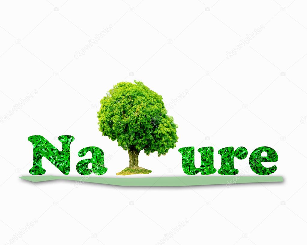 The Green nature letters surrounded by green tree isolated on wh
