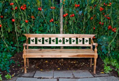 The Wooden bench on tomato garden background clipart