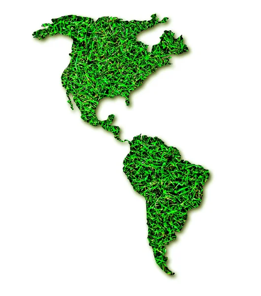 El norte y el sur de EE.UU. de patrón de hierba aislado en el respaldo blanco —  Fotos de Stock