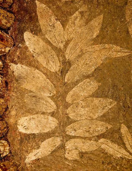 The Imprint leaf on cement floor — Stock Photo, Image