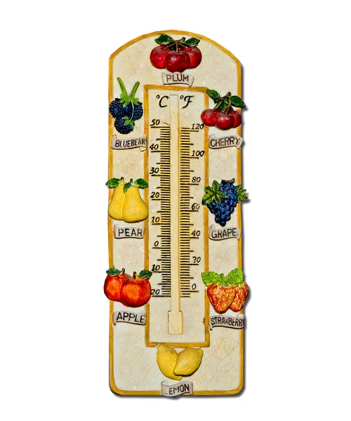 Stock image The Thermometer fruit model isolated on white background