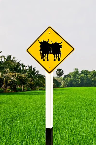 The Guide post of ox cart isolated on orange background — Stock Photo, Image