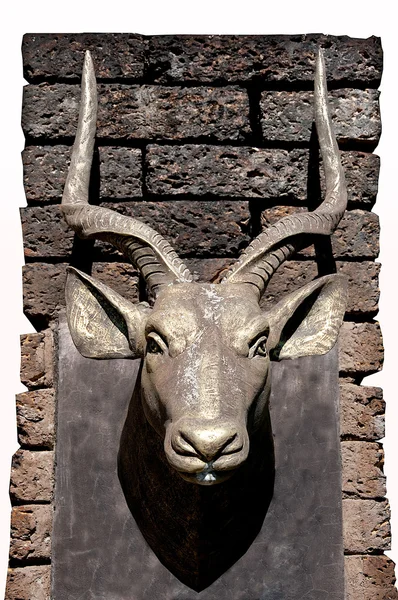 La sculpture du taureau de tête sur le mur — Photo