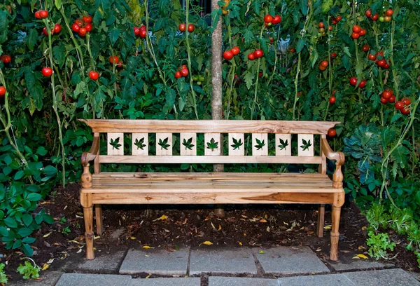 El banco de madera sobre fondo de jardín de tomate —  Fotos de Stock