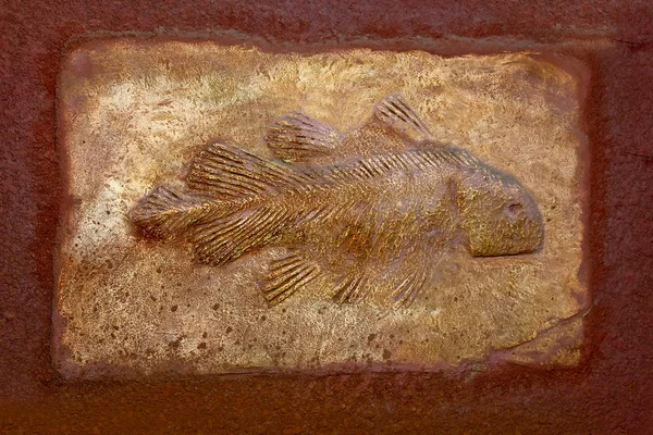 Το απολίθωμα μοντέλο αρχαία ψάρια — Φωτογραφία Αρχείου