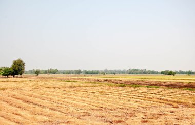 eski Seramik döşeme arka planı renkli