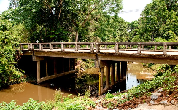 Старый цементный мост через реку в лесу — стоковое фото