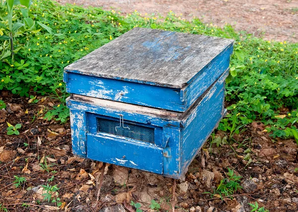 フォレスト内のミツバチの巣箱 — ストック写真