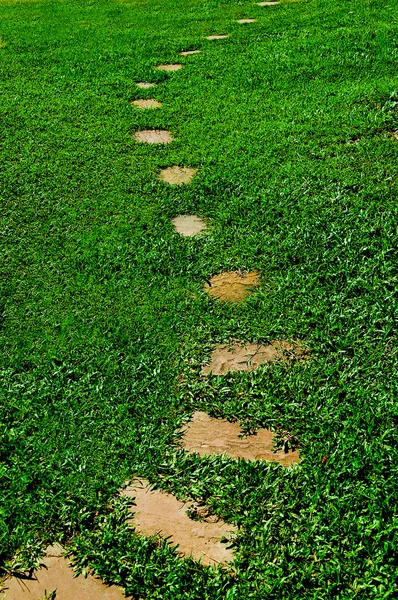 Пешеходная дорожка каменного блока в парке с зеленой травой — стоковое фото