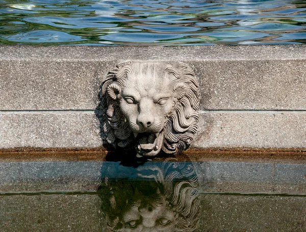 The Head rock lion on pool — Stock Photo, Image
