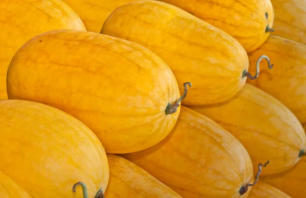 The Cantaloupe melon background texture — Stock Photo, Image