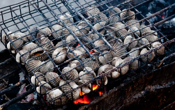 Il Cockle alla griglia sul forno a carbone — Foto Stock