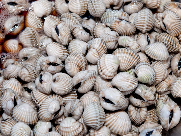 Il primo piano di marinato cockle shell sfondo — Foto Stock
