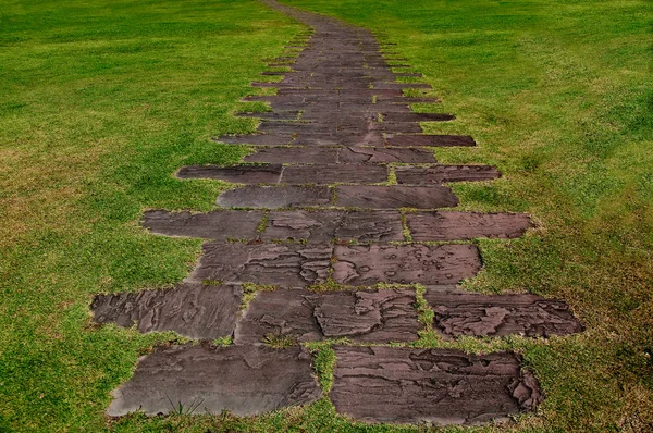 Cesta pěšky kamenných bloků v parku s trávou poza — Stock fotografie