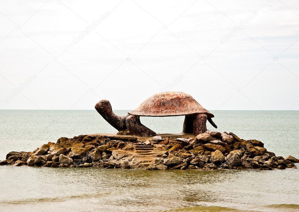 The Turtle island