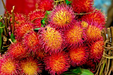 taze rambutan