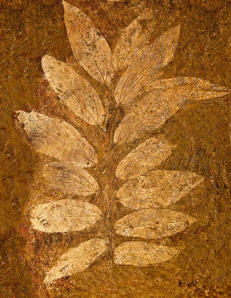 시멘트 바닥에 인쇄물 잎 — 스톡 사진