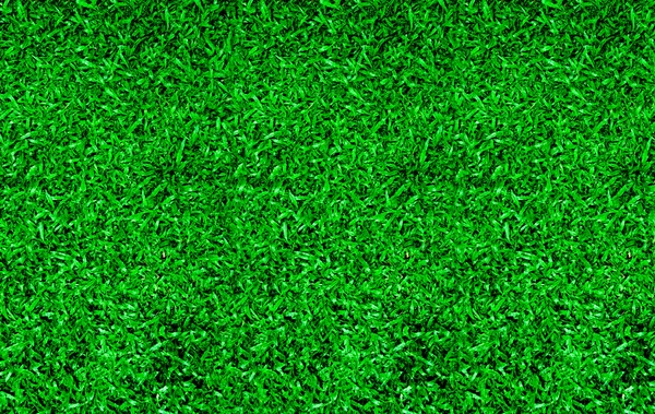 緑の草背景テクスチャ — ストック写真