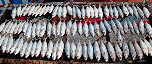 Il pesce essiccato al mercato — Foto Stock