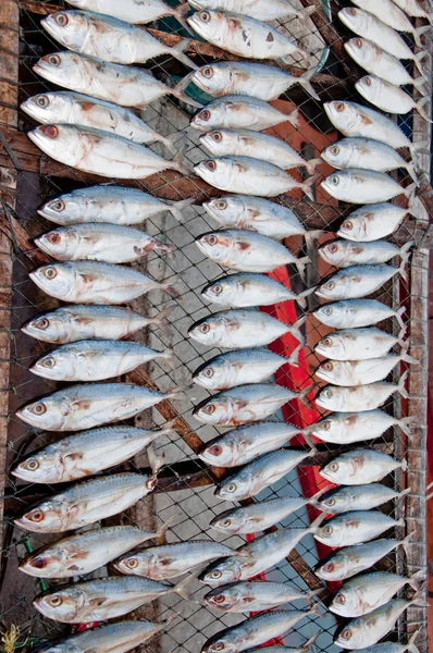 El Pescado seco en el mercado — Foto de Stock