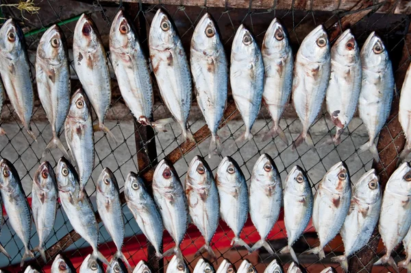 在市场上的鱼干 — 图库照片
