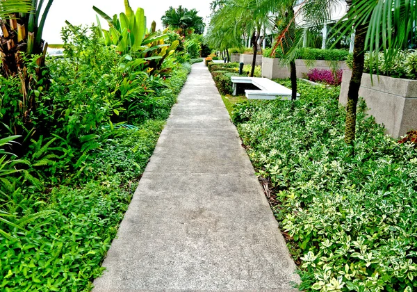 Het pad van de wandeling in het park — Stockfoto