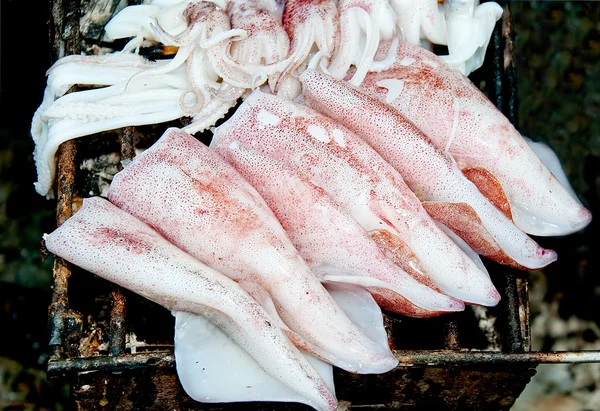 Grillad bläckfisk på träkol spisen — Stockfoto