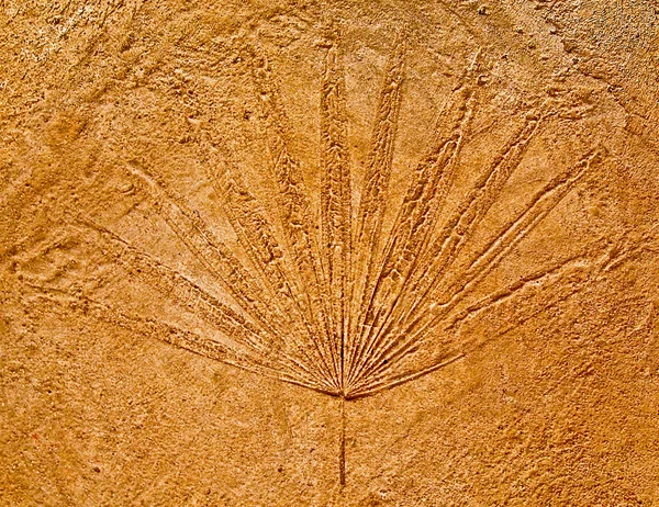 セメントの床の背景にインプリント葉 — ストック写真