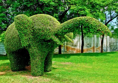 The Bending tree of elephant clipart