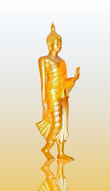 The Buddha status stand isolated on reflect background clipart