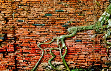 The Abstract old brick wall and tree roots background clipart