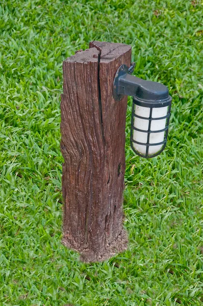 Žárovka na pařezu s pozadím zelené trávy — Stock fotografie