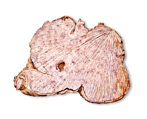 A textura antiga do toco de madeira isolado no fundo branco — Fotografia de Stock