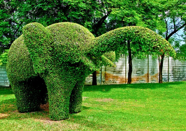 折弯树的大象 — 图库照片