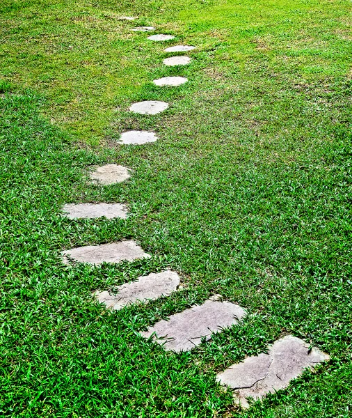 The Stone block walk path in the park with green grass backgroun — Stock Photo, Image