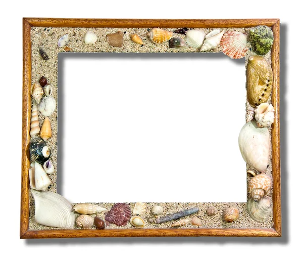 De tropische photo frame met schelpen geïsoleerd op witte backgr — Stockfoto