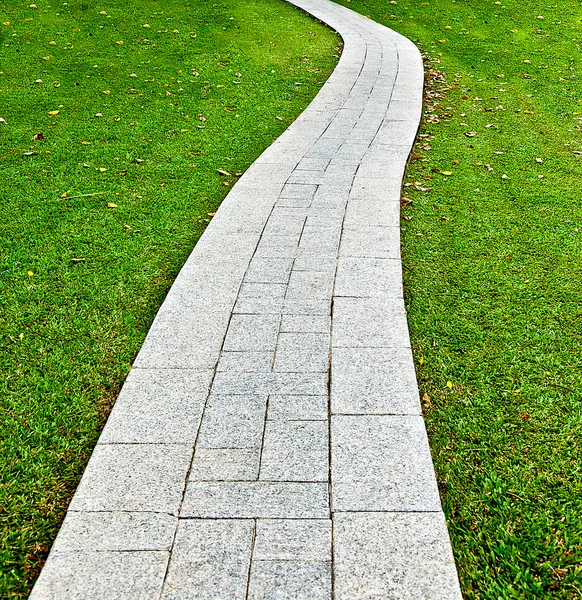 Het pad van de wandeling in het park met groen gras achtergrond — Stockfoto