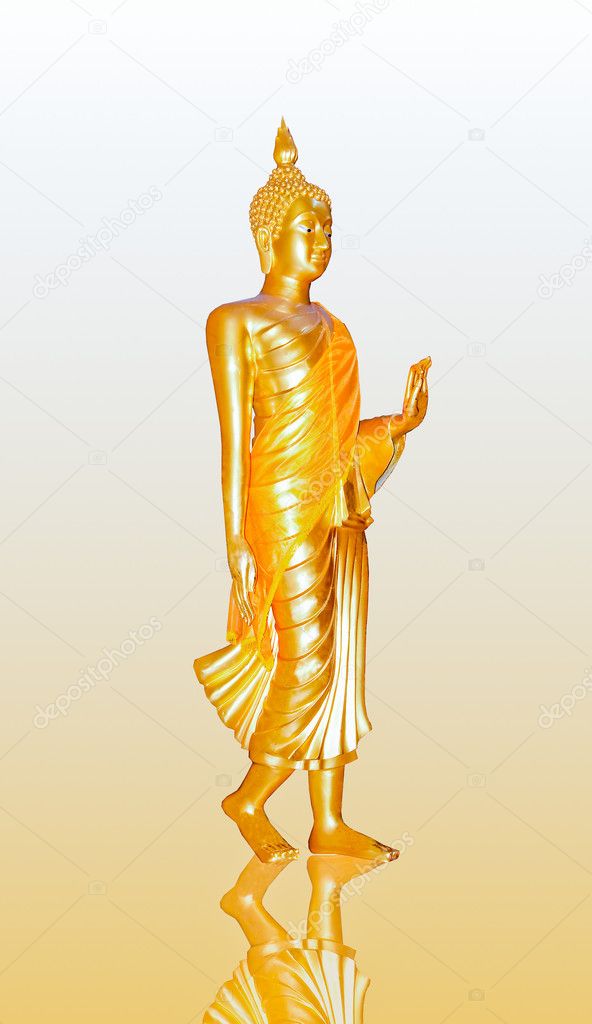 The Buddha status stand isolated on reflect background