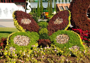 CHIANGMAI THAILAND - January 23 : The Plant show in Internation clipart