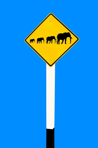 Il segno dell'elefante di famiglia isolato su sfondo blu — Foto Stock