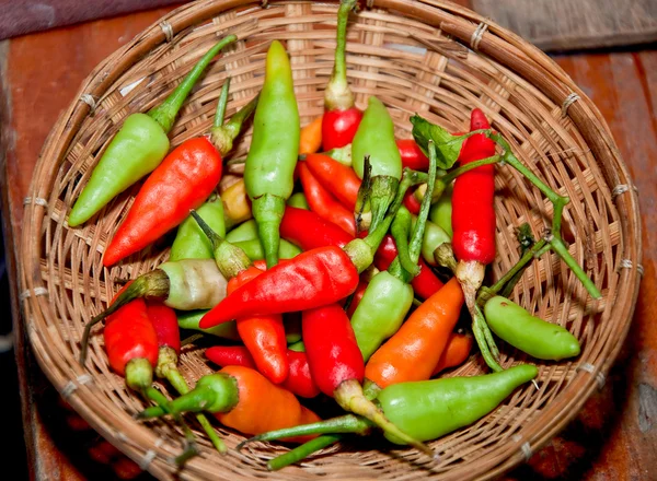 De rood en groen en oranje chili op, Seychellen, Afrika — Stockfoto