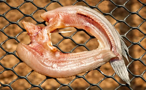 Die Nahaufnahme getrockneter Fische von Schlangenkopffischen — Stockfoto