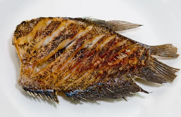Der gebratene Salbeifisch von Fischarten in Thailand — Stockfoto